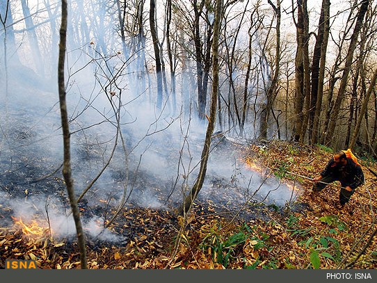 ✅  یک مدیر مسوول خبرداد: جنگل ابر برای دومین بار در این هفته آتش گرفت/ آتش‌سوزی از شب گذشته آغاز و هنوز مهار نشده است